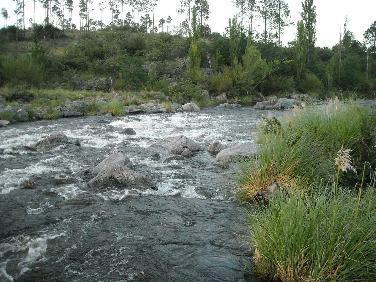 Cabanas Ecos Del Rio Los Reartes Værelse billede